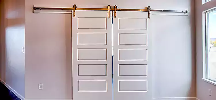 Glass Barn Door with Installation Hardware Kit The Villages