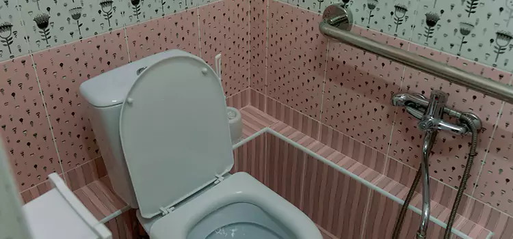 Meeting Diverse Needs With Accessible Restroom Solutions in The Villages, FL